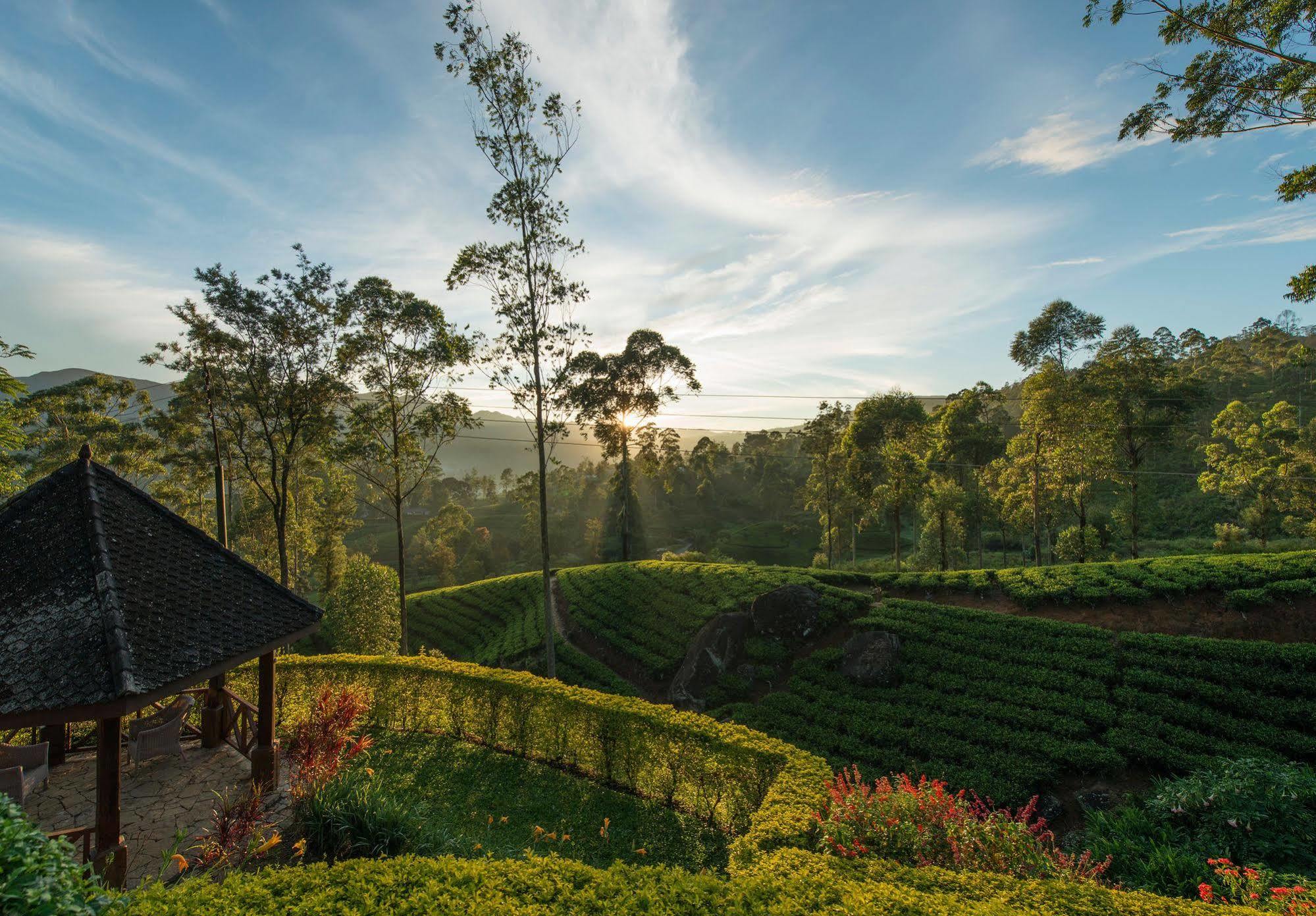 Hotel Ceylon Tea Trails Norwood Exterior foto