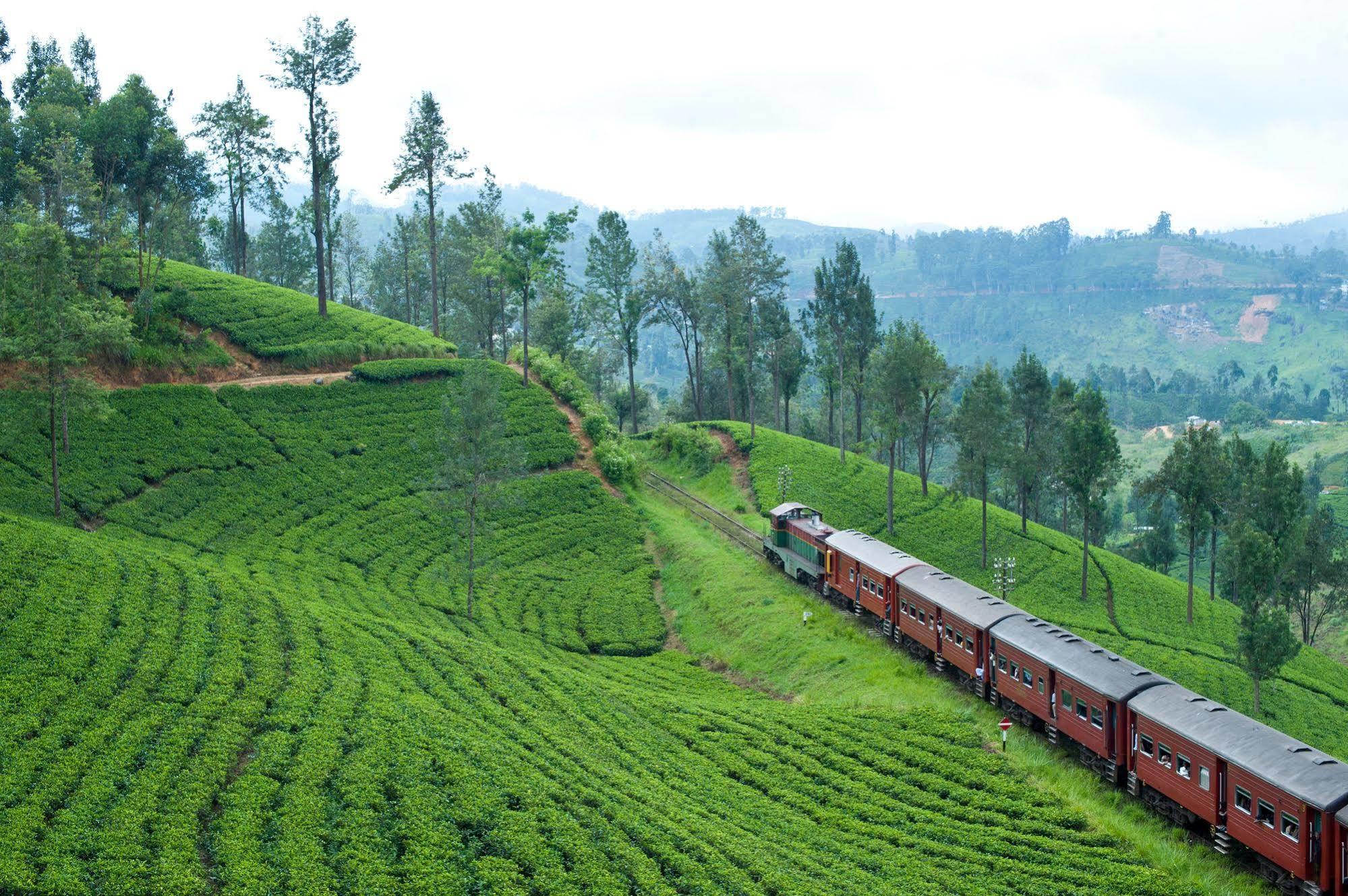 Hotel Ceylon Tea Trails Norwood Exterior foto