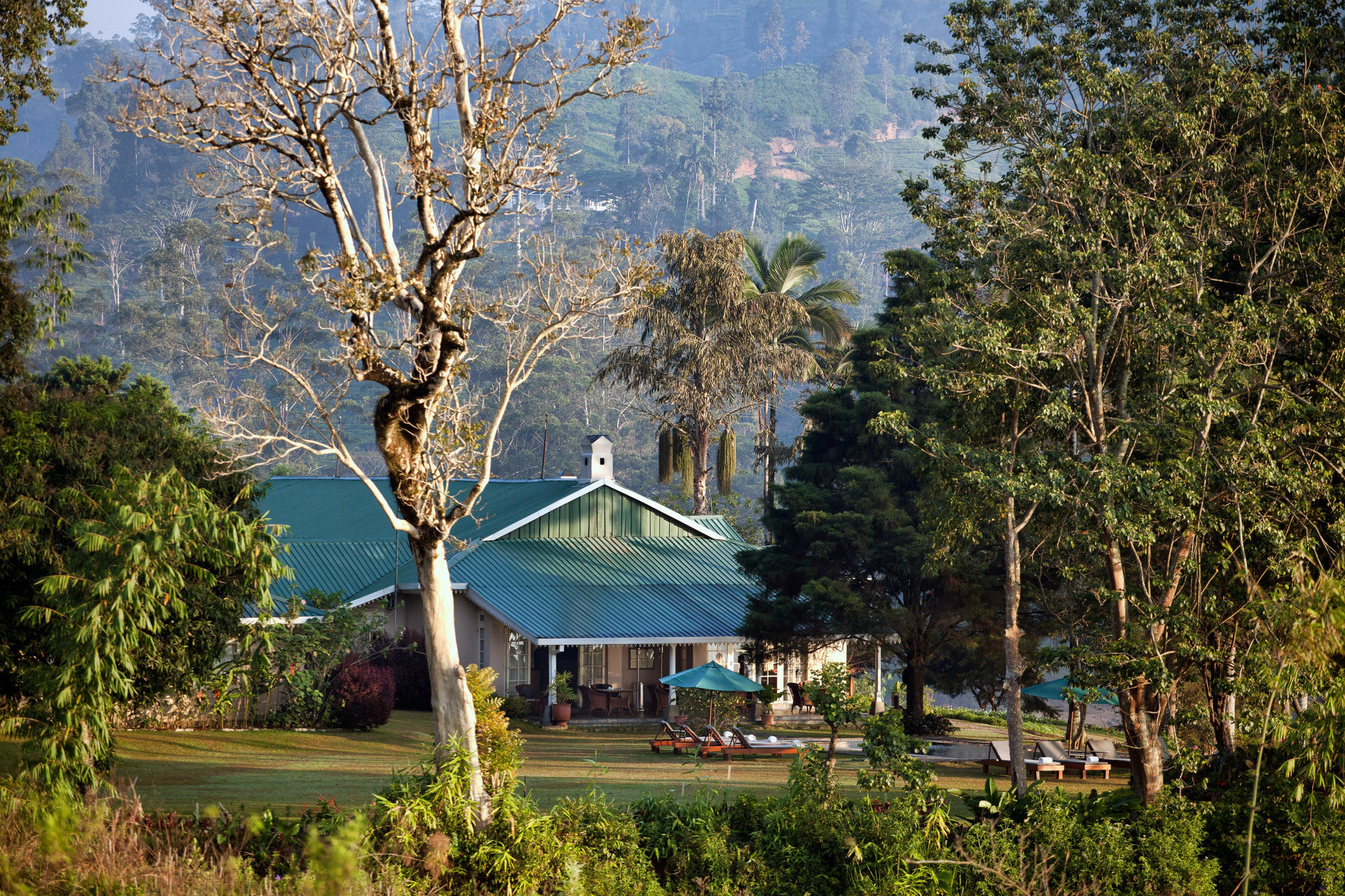 Hotel Ceylon Tea Trails Norwood Exterior foto